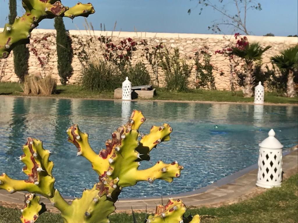 La Maison D'Helene Essaouira Al Ghar エクステリア 写真